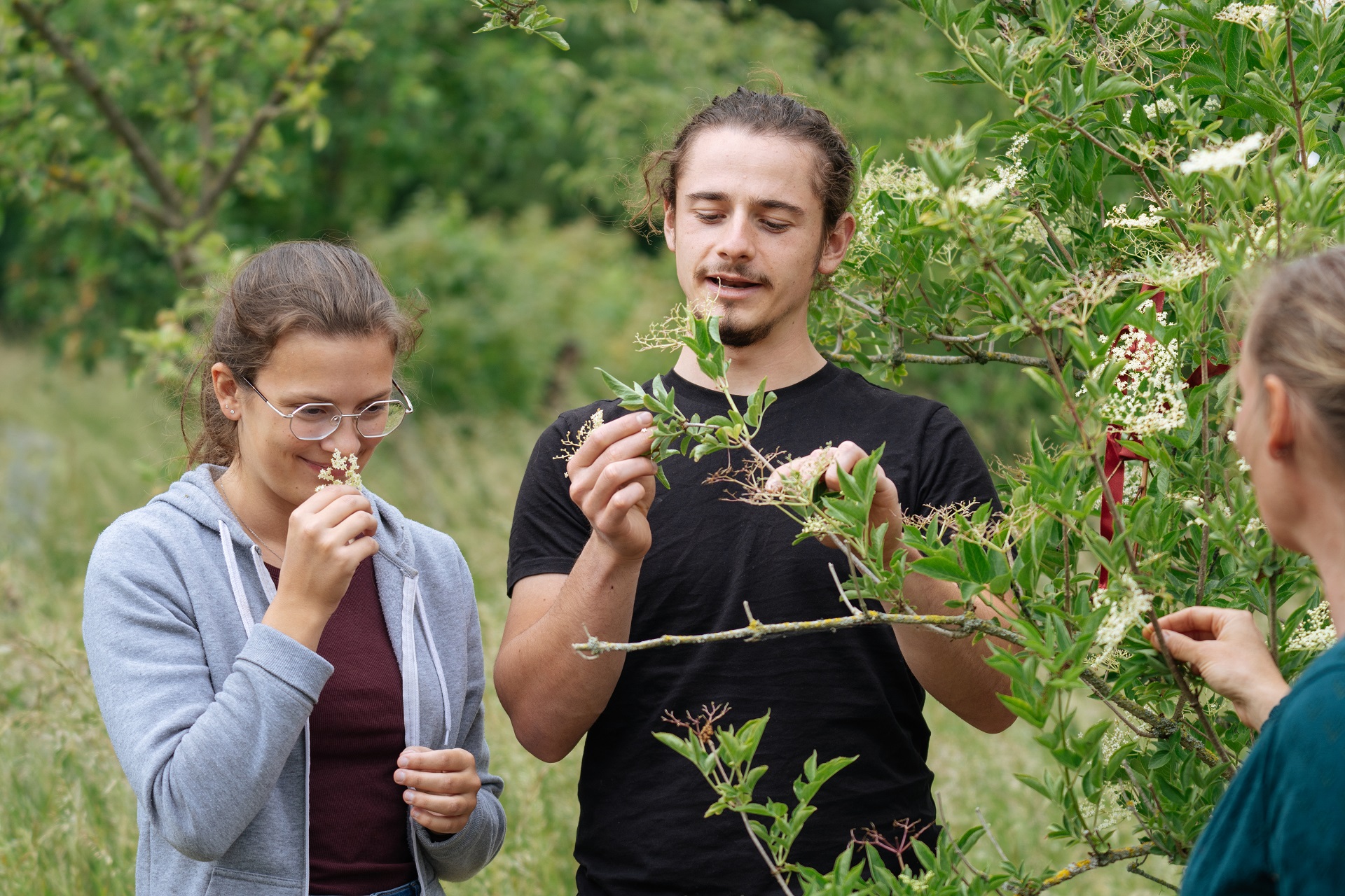 Une fille et un garçon se tiennent près d'un buisson de sureau et le reniflent. Pendant ce temps, l'herboriste Karin Laschet explique la signification des herbes.