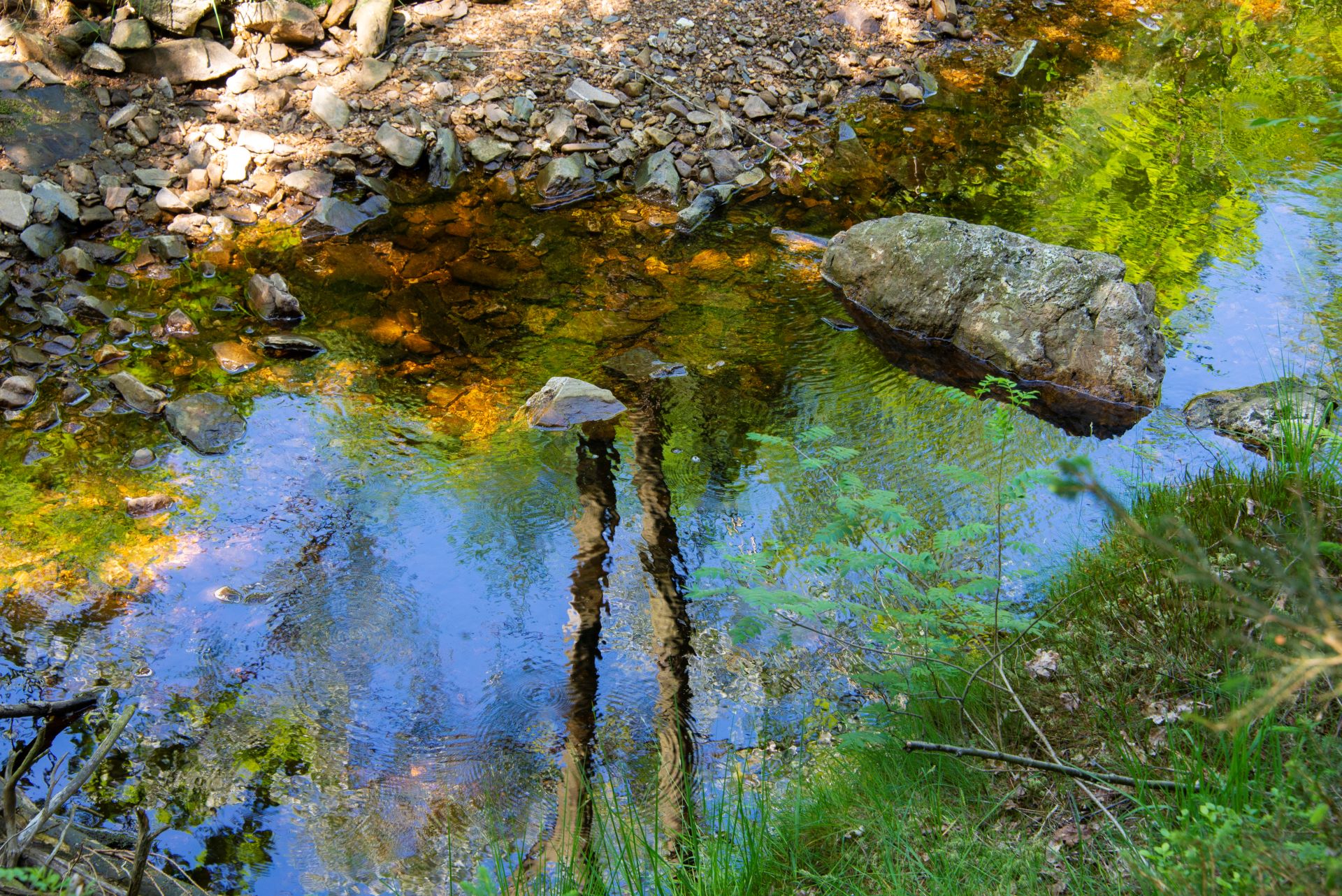 Un petit ruisseau est le point central de cette peinture, reflétant les couleurs de la nature qui l'entoure.