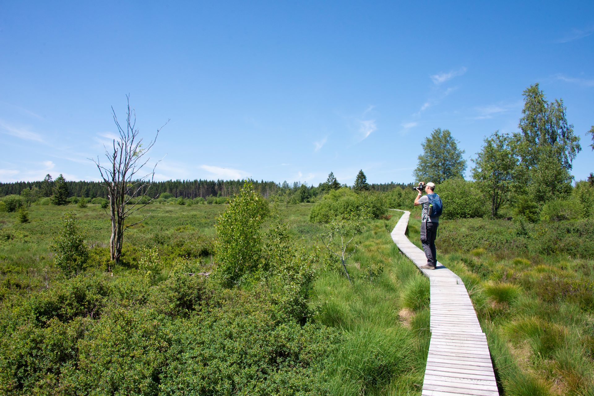 Le guide touristique se tient sur une promenade qui mène les randonneurs à travers le paysage vert. Les petits arbres sont peu visibles.