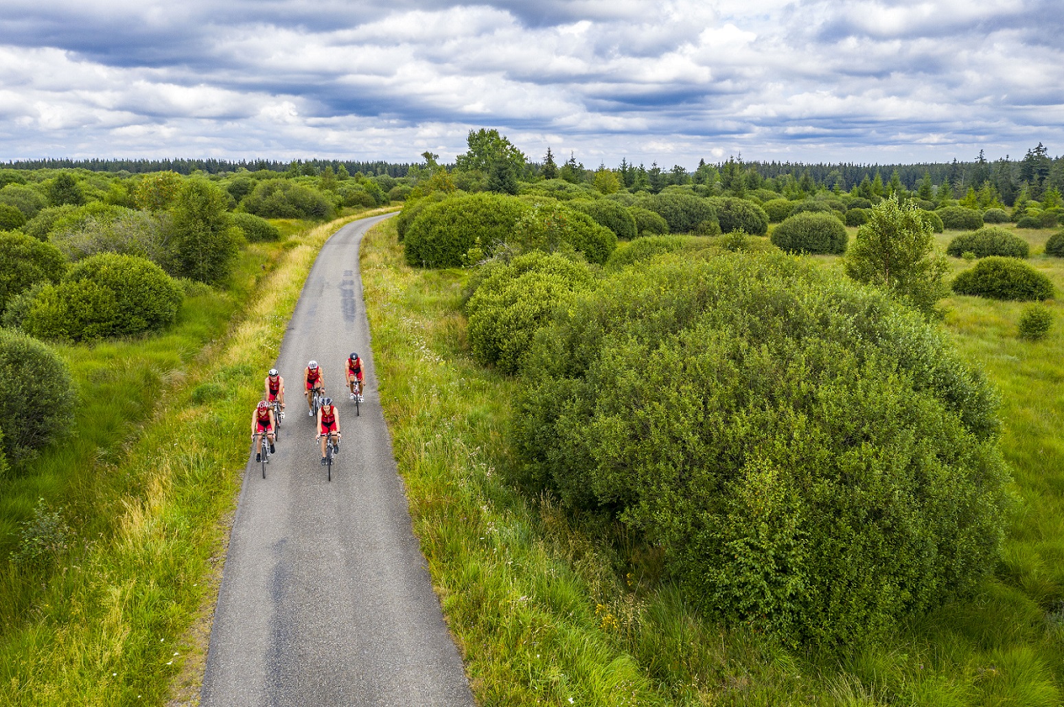 Paysage des Hautes Fagnes. Sur un chemin asphalté, on peut voir les cinq triathlètes s'entraîner sur leurs vélos de course.
