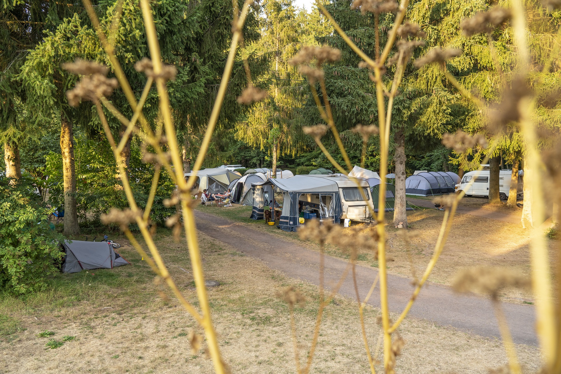Le camping sous le soleil du soir.