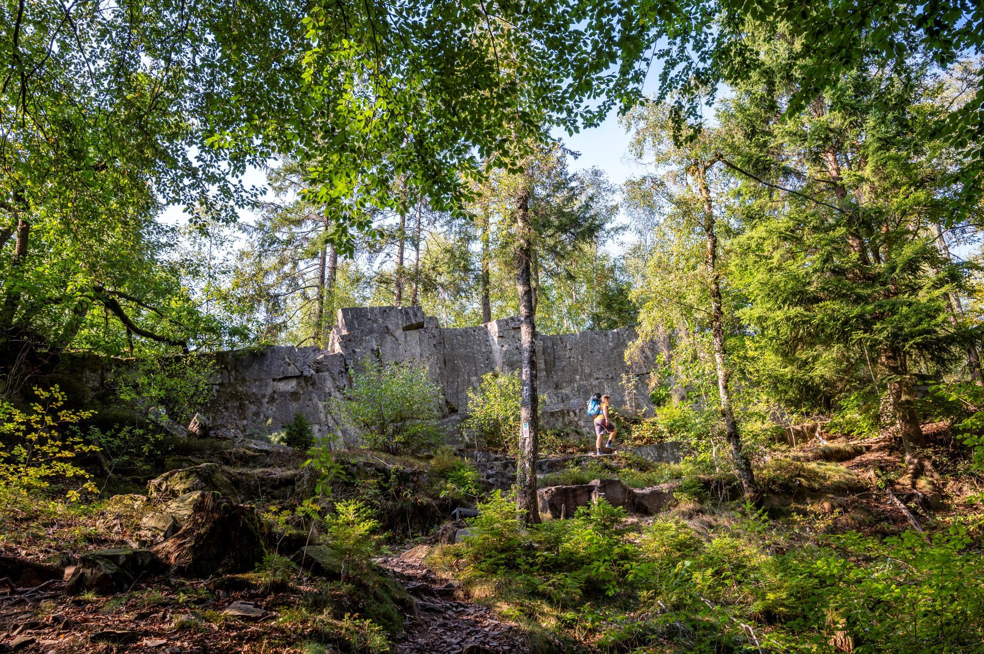 Des ruines anciennes sont représentées au milieu de la forêt, devant lesquelles marche un homme portant une chemise jaune et un sac à dos bleu.
