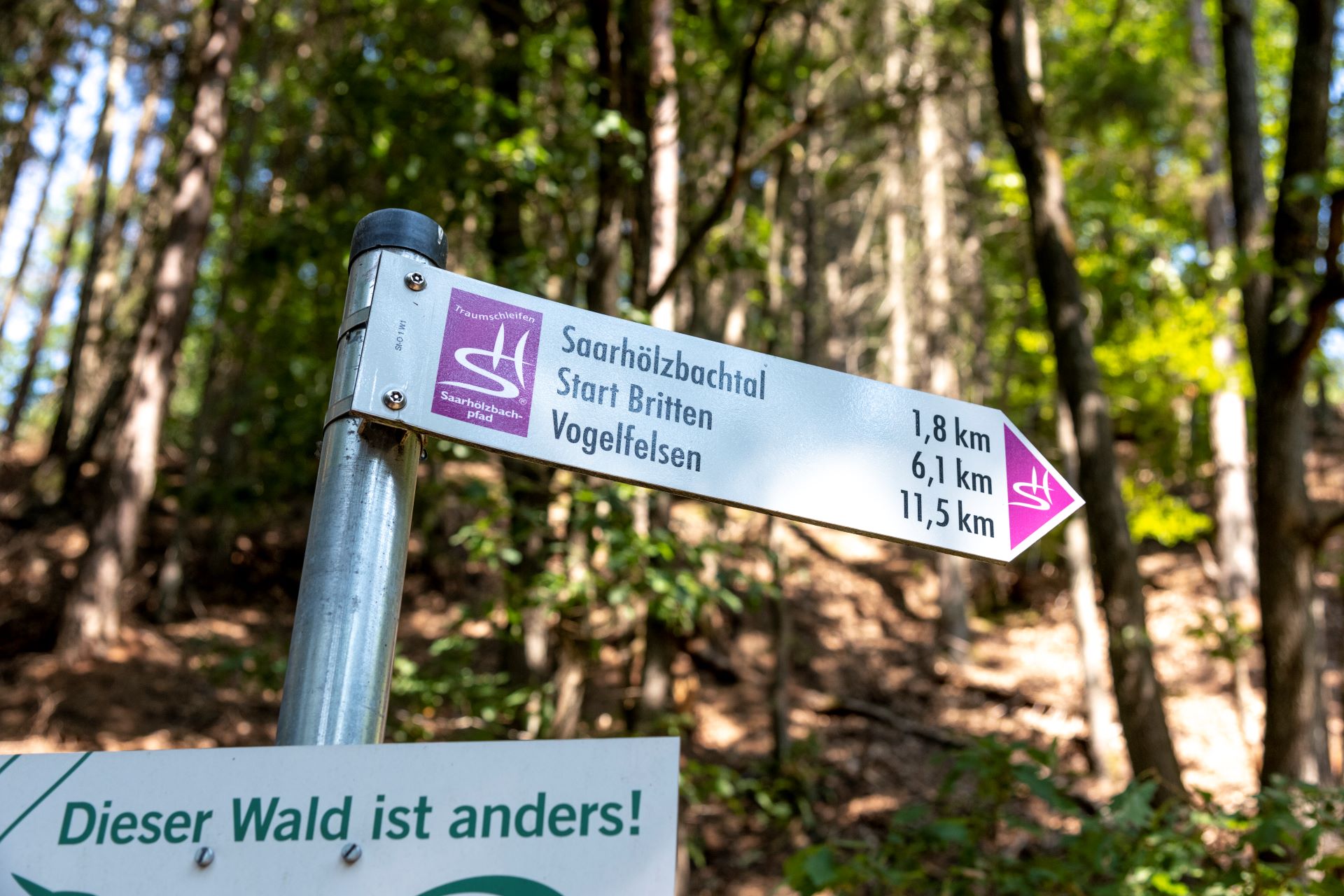 Un panneau de randonnée donnant des informations sur la direction et la longueur des sentiers est en évidence devant une forêt.