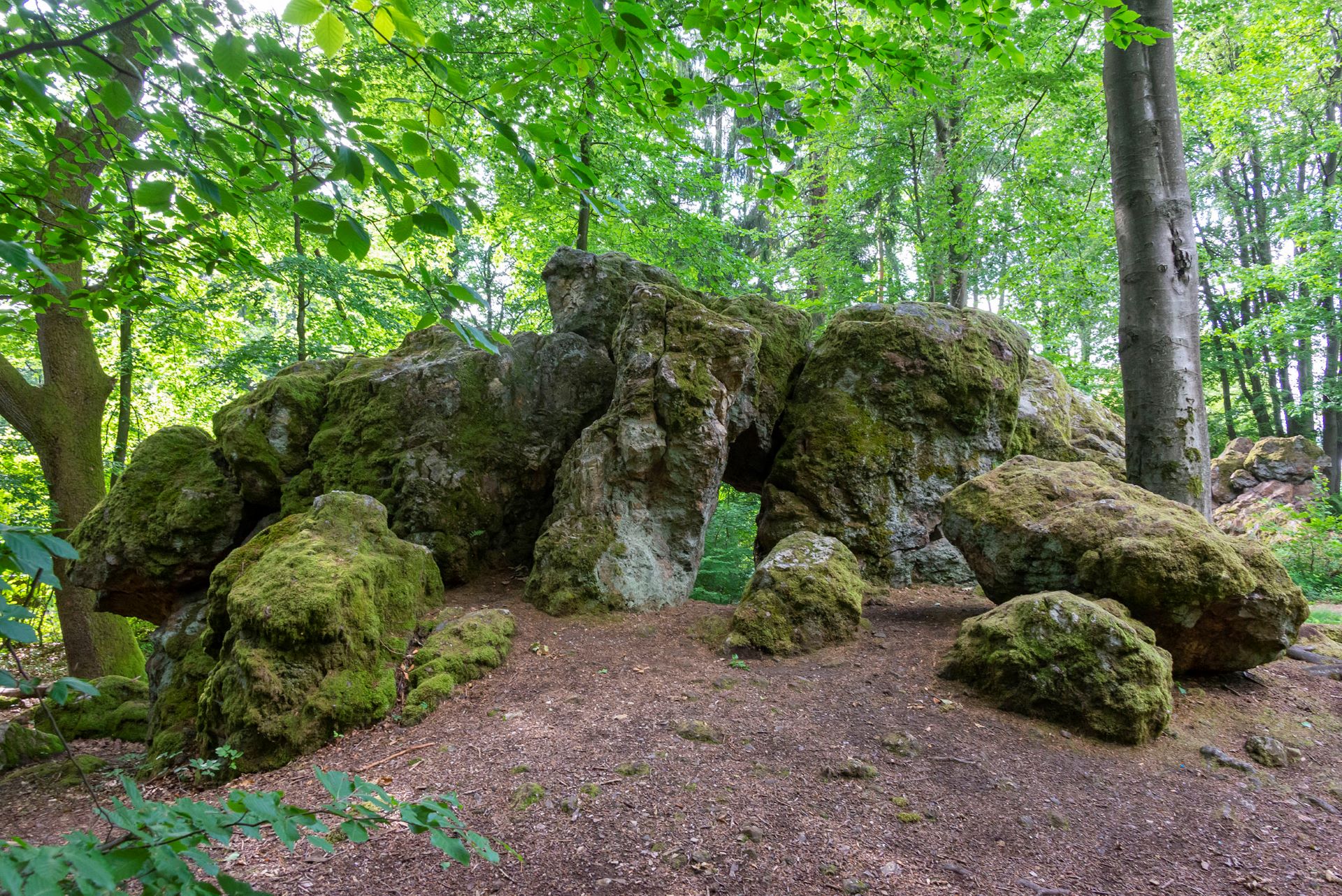 Les ruines d'un vieux bâtiment sont couvertes de mousse et à peine visibles dans une forêt.