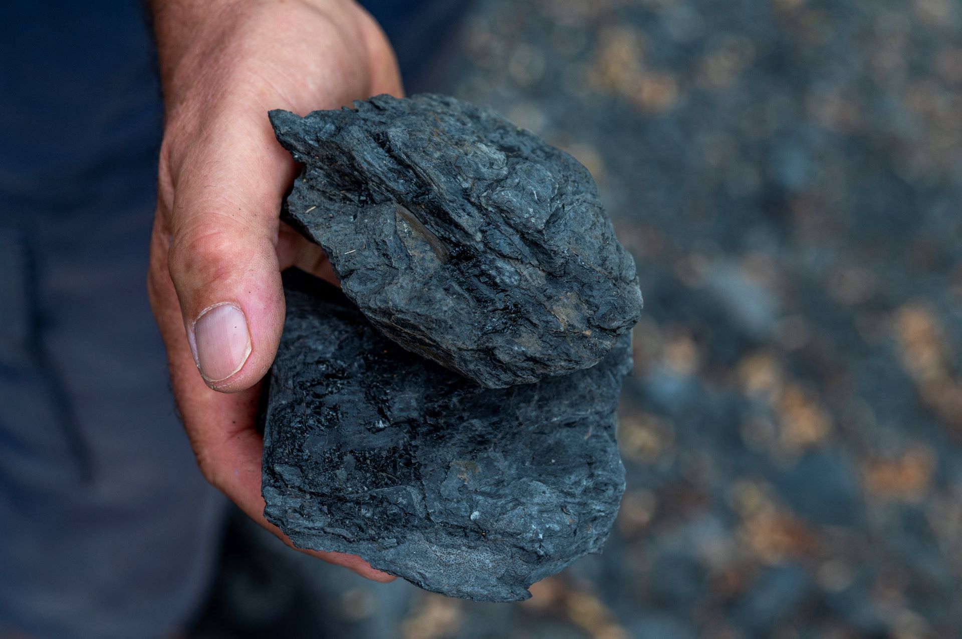 La main d'un homme tient deux morceaux de charbon.