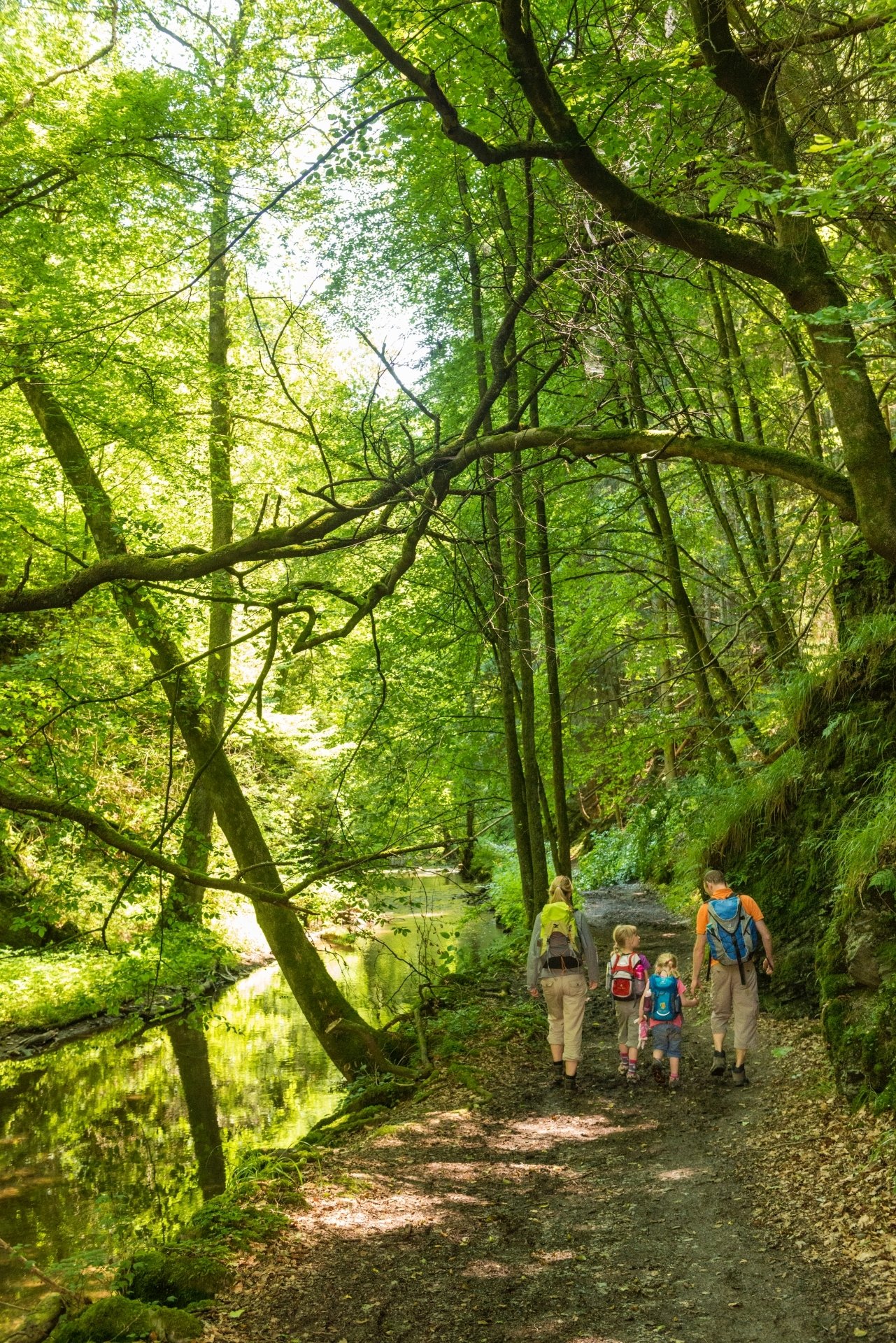 Une famille de quatre personnes marche le long d'une rivière à travers une forêt.