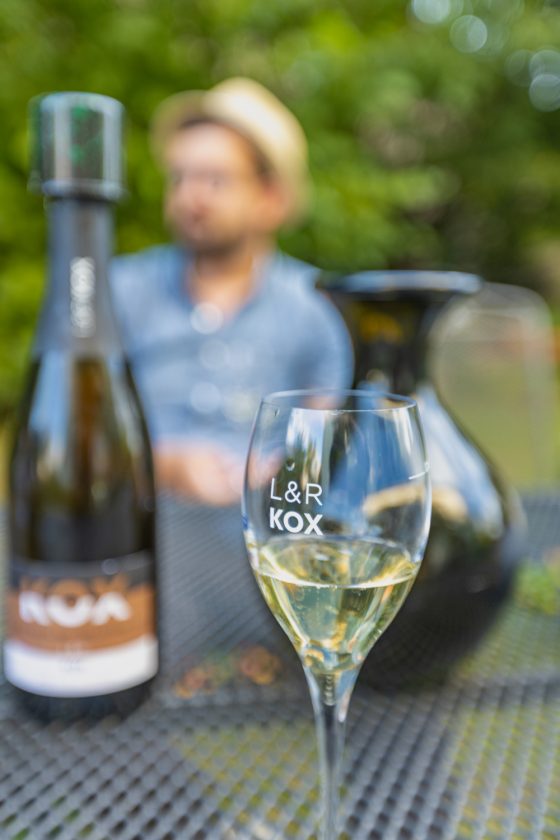 Photo de la dégustation des vins dans la Domaine Kox