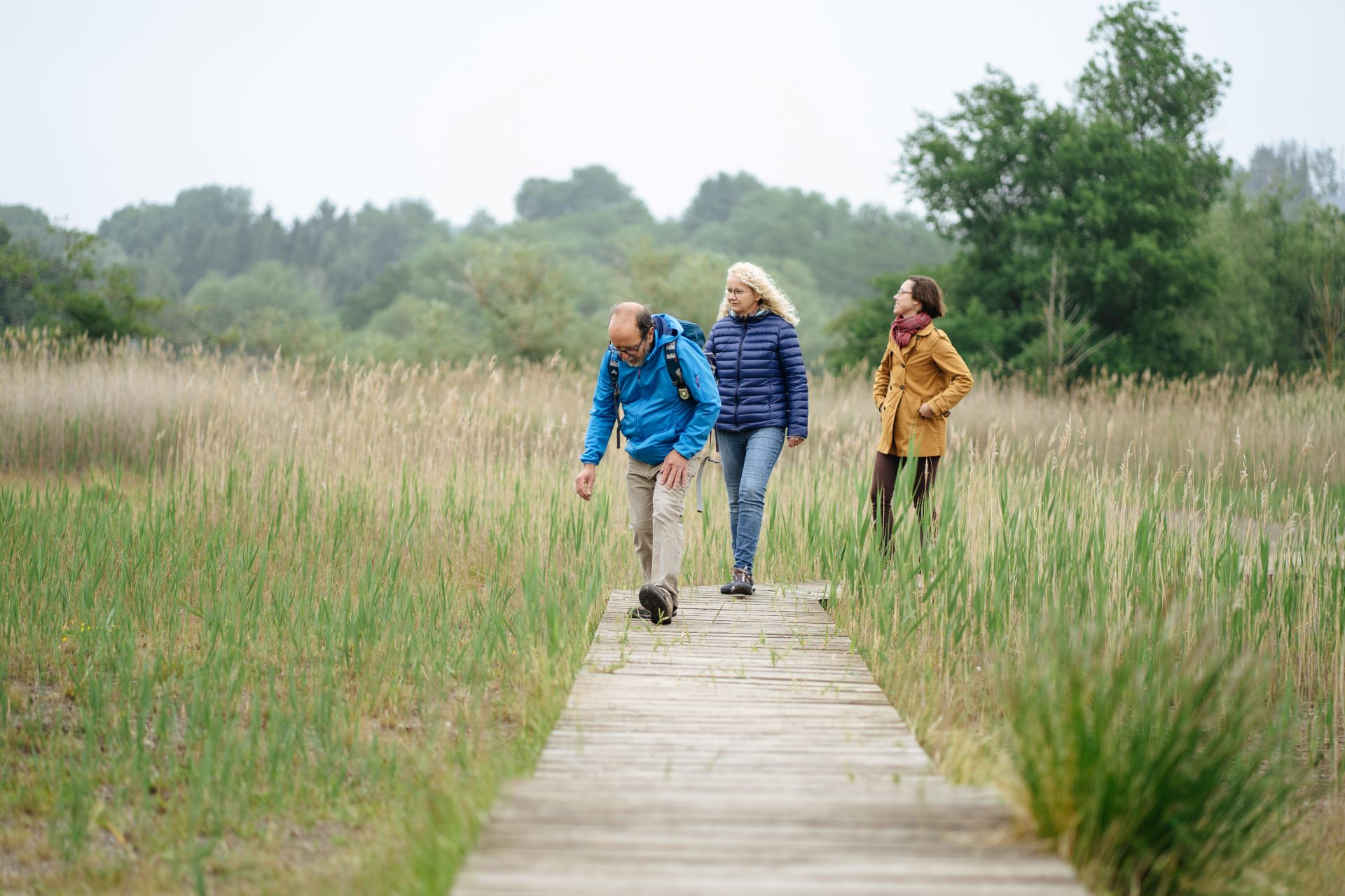 Ein Mann und zwei Frauen gehen auf einer Promenade in der Mitte ihrer Wanderung. Sie sind warm gekleidet und die Promenade erstreckt sich über ein Feld mit Wildpflanzen, mit einem Wald im Hintergrund.