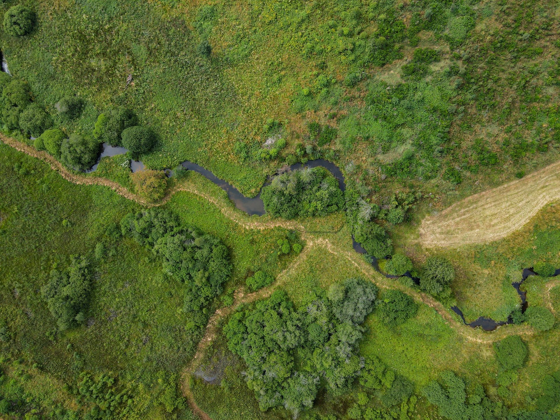 Das Holzwarchetal wird aus der Drohnenperspektive abgebildet. Ein Bach schlängelt sich durch eine grüne Wiese.