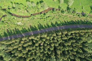 Ein Teil eines Wanderweges im Wolfsbusch ist aus der Vogelperspektive zu sehen. Ein Feld und ein Wald sind durch eine Straße getrennt.