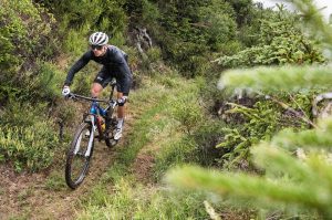 Ein Mountainbiker der einen Weg entlang fährt in Richtung Kamera. Um ihn herum ist alles grün bewaldet.