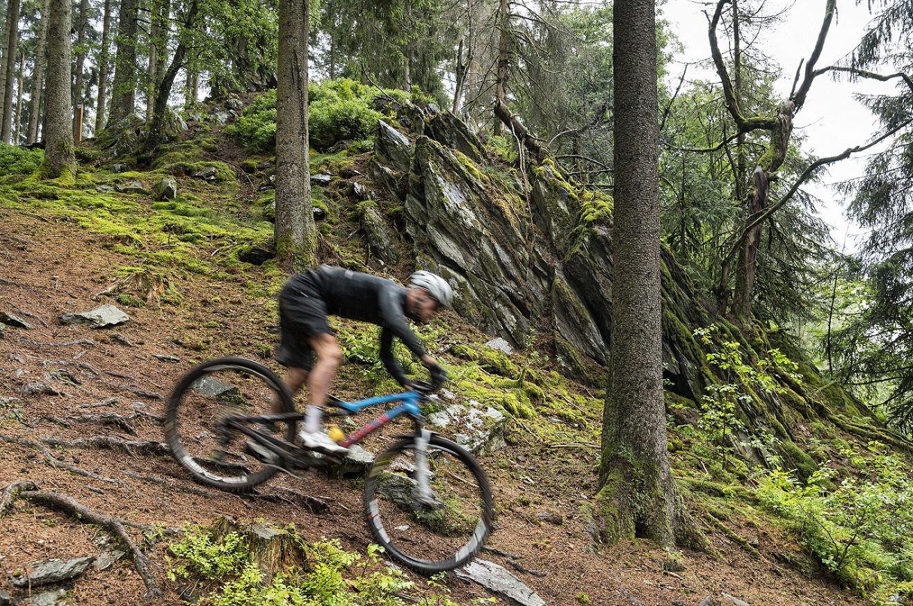 Ein Mountainbiker fährt einen Berg runter. Der Mountainbiker ist unscharf durch die Geschwindigkeit. Im Hintergrund befinden sich Felsen, Wald und Moos.