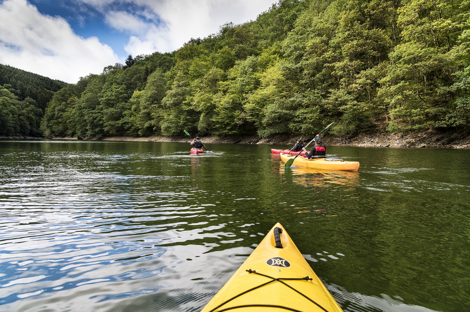 Insgesamt befinden sich vier Kayak-Fahrer auf dem Wasser, aus der Perspektive des hinteren Kayak-Fahrers aufgenommen. Am Ufer befinden sich viele Bäume.