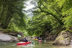Drei Kayakfahrer auf dem Obersauer Stausee, der sich an dieser Stelle fjordartig verengt. An den Ufern befinden sich viele Bäume.