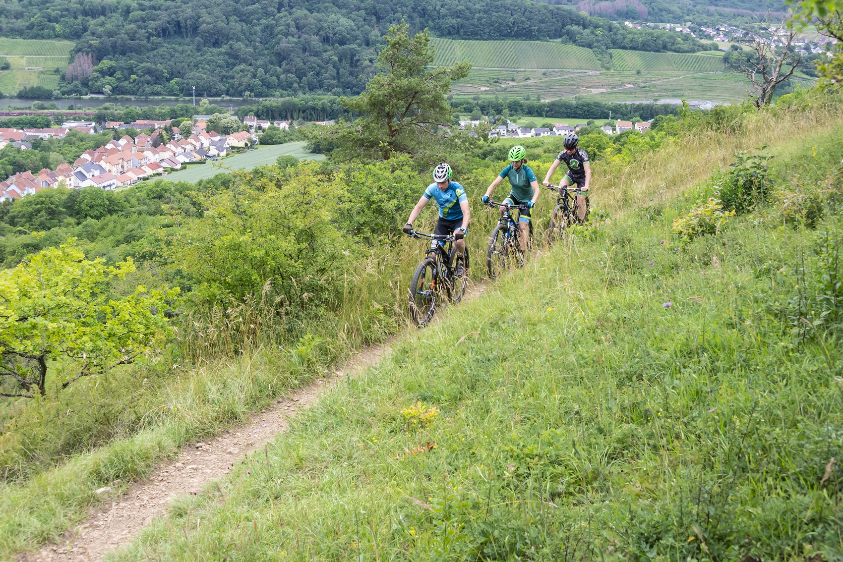 Drei Mountainbiker auf einem Trail hintereinander herfahrend. Im Hintergrund sieht man das Moseltal.