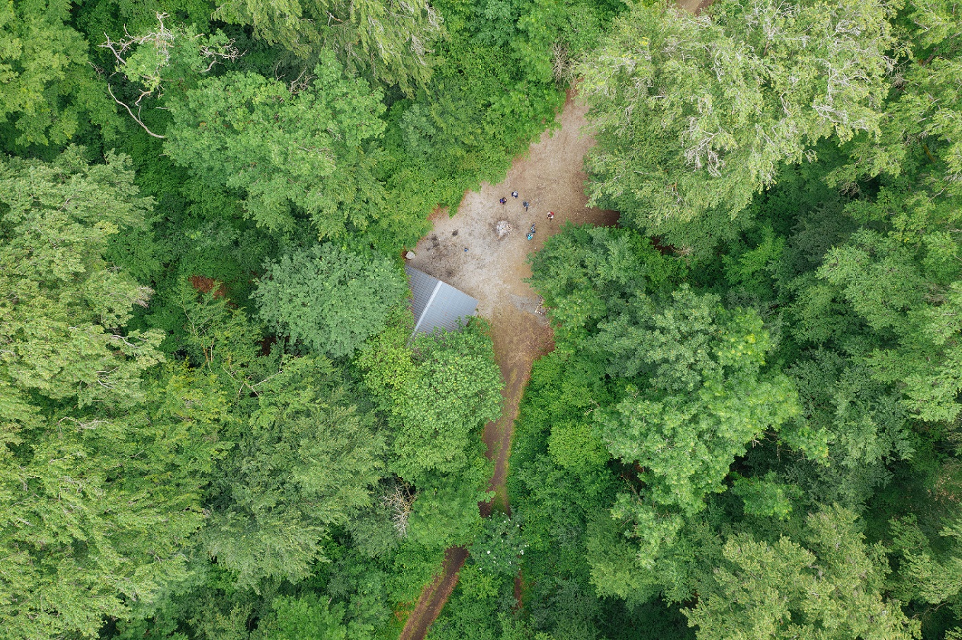 Aufnahme aus der Vogelperspektive des Platteaus mitten im Wald. Zwischen den Bäumen sieht man die Gruppe das Platteau betreten.