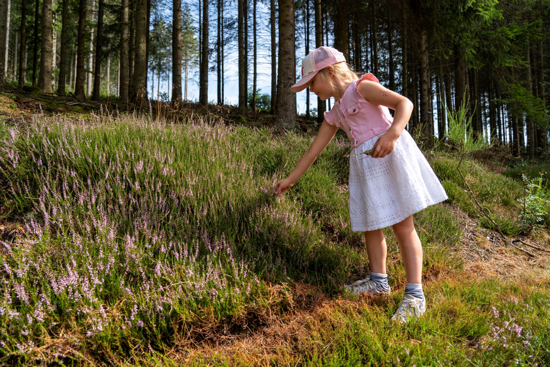 Ein kleines Mädchen mit rosa Hut und Hemd und einem weißen Rock hält auf dem Naturpfad inne, um rosa Wildblumen zu untersuchen, die auf einer Bank wachsen.