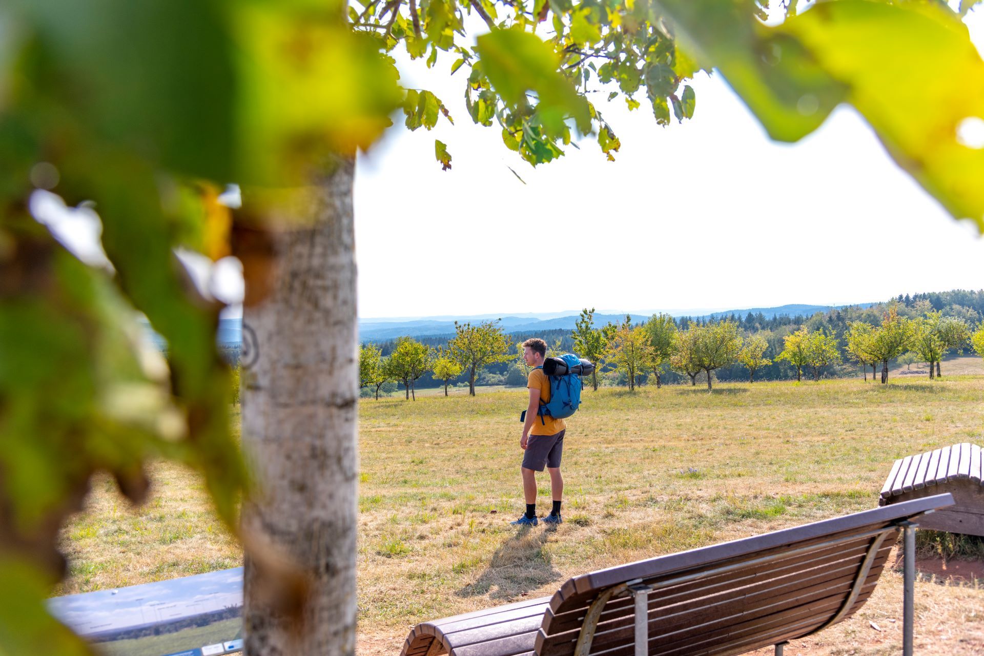 Ein Mann mit gelbem Hemd und Wanderausrüstung steht in einem Feld vor mehreren Bänken, auf denen sich Wanderer ausruhen können. Im Vordergrund blockiert ein Baum die linke Seite des Bildes.