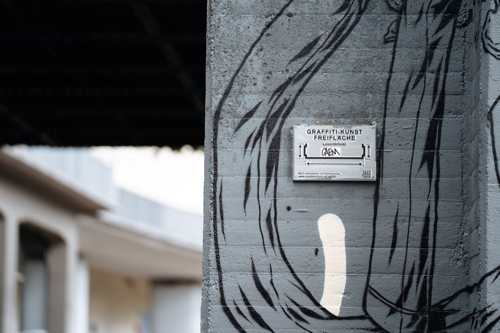 An einer stark bemalten Wand unter einer Brücke ist ein Schild mit der Aufschrift "Graffiti-Kunst Freifläche" zu sehen.