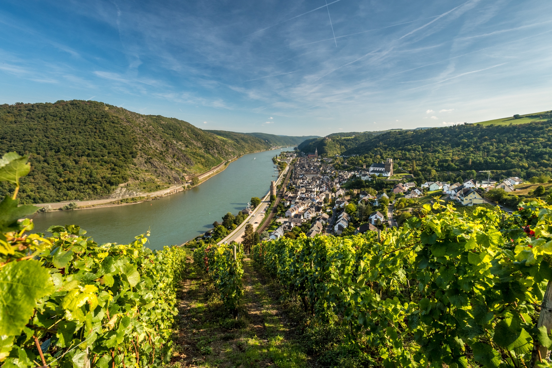 Panoramablick auf die Rheinschleife und den Ort Oberwesel