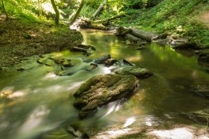 Nahaufnahme des fließenden Wassers in der Baybachklamm
